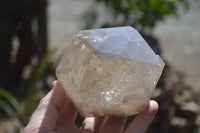 Polished Large Smokey Quartz Crystals x 2 From Angola