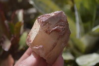 Natural Red Hematoid Quartz Specimens x 4 From Karoi, Zimbabwe