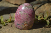 Polished Rhodonite Free Forms x 4 From Southern Africa