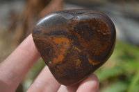 Polished Golden Tigers Eye Free Forms x 12 From Prieska, Northern Cape