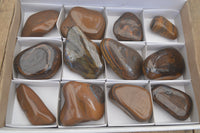 Polished Golden Tigers Eye Free Forms x 12 From Prieska, Northern Cape