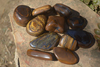 Polished Golden Tigers Eye Free Forms x 12 From Prieska, Northern Cape