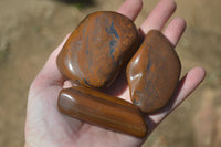 Polished Golden Tigers Eye Free Forms x 12 From Prieska, Northern Cape