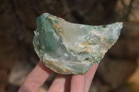 Natural Green Jade Cobbed Specimens x 12 From Swaziland