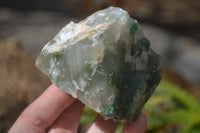 Natural Green Jade Cobbed Specimens x 12 From Swaziland