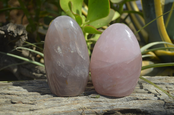 Polished Rose Quartz Standing Free Forms x 3 From Madagascar