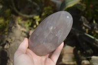 Polished Rose Quartz Standing Free Forms x 3 From Madagascar