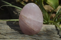 Polished Rose Quartz Standing Free Forms x 3 From Madagascar