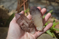 Natural Red Hematoid Quartz Specimens x 12 From Karoi, Zimbabwe