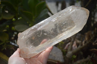 Natural Large Clear Quartz Crystals  x 2 From Madagascar