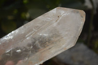 Natural Large Clear Quartz Crystals  x 2 From Madagascar