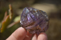 Natural Royal Zulu Window Amethyst Crystals x 12 From, South Africa