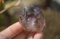 Natural Royal Zulu Window Amethyst Crystals x 12 From, South Africa