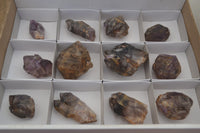 Natural Royal Zulu Window Amethyst Crystals x 12 From, South Africa