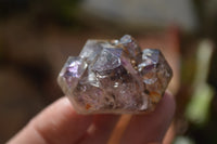 Natural Royal Zulu Window Amethyst Crystals x 12 From, South Africa