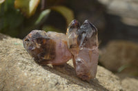 Natural Royal Zulu Window Amethyst Crystals x 12 From, South Africa