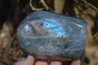 Polished Rare Purple Flash Labradorite Standing Free Forms x 3 From Tulear, Madagascar