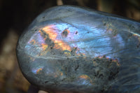 Polished Rare Purple Flash Labradorite Standing Free Forms x 3 From Tulear, Madagascar