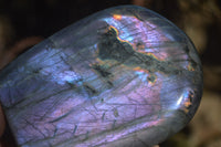 Polished Rare Purple Flash Labradorite Standing Free Forms x 3 From Tulear, Madagascar