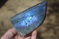 Polished Rare Purple Flash Labradorite Standing Free Forms x 3 From Tulear, Madagascar