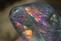 Polished Rare Purple Flash Labradorite Standing Free Forms x 3 From Tulear, Madagascar