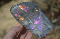 Polished Rare Purple Flash Labradorite Standing Free Forms x 3 From Tulear, Madagascar