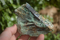 Natural Blue Kyanite Crystals In Green Fuchsite Matrix Specimens  x 11 From Karoi, Zimbabwe