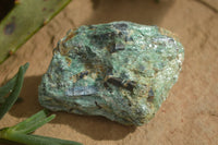 Natural Blue Kyanite Crystals In Green Fuchsite Matrix Specimens  x 11 From Karoi, Zimbabwe