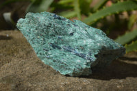 Natural Blue Kyanite Crystals In Green Fuchsite Matrix Specimens  x 11 From Karoi, Zimbabwe