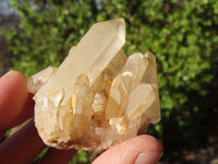 Natural White Phantom Quartz Specimens  x 24 From Madagascar