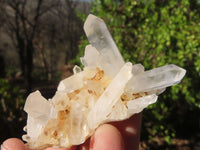 Natural White Phantom Quartz Specimens  x 24 From Madagascar