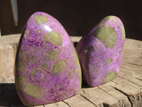 Polished Stichtite & Serpentine Standing Free Forms x 6 From Barberton, South Africa