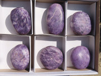 Polished Purple Lepidolite Galets  x 6 From Zimbabwe