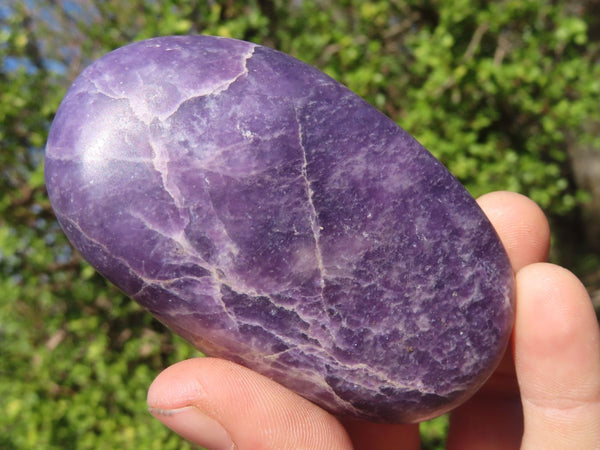 Polished Purple Lepidolite Galets  x 6 From Zimbabwe