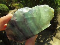 Polished One Side Polished Watermelon Fluorite Pieces  x 3 From Uis, Namibia