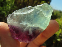 Polished One Side Polished Watermelon Fluorite Pieces  x 3 From Uis, Namibia