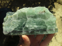 Polished One Side Polished Watermelon Fluorite Pieces  x 3 From Uis, Namibia