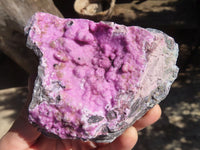 Natural Pink Salrose Cobaltion Dolomite Specimens  x 2 From Kakanda, Congo