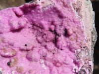 Natural Pink Salrose Cobaltion Dolomite Specimens  x 2 From Kakanda, Congo