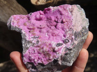 Natural Pink Salrose Cobaltion Dolomite Specimens  x 2 From Kakanda, Congo