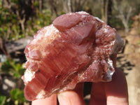 Natural Red Hematoid Quartz Specimens x 12 From Karoi, Zimbabwe