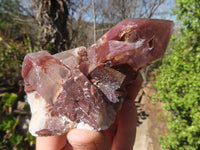 Natural Red Hematoid Quartz Specimens x 12 From Karoi, Zimbabwe