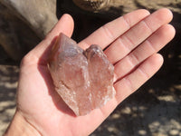 Natural Red Hematoid Quartz Specimens x 12 From Karoi, Zimbabwe