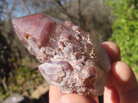 Natural Red Hematoid Quartz Specimens x 12 From Karoi, Zimbabwe