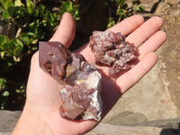 Natural Red Hematoid Quartz Specimens x 12 From Karoi, Zimbabwe