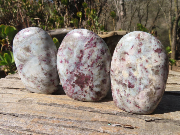 Polished Rubellite Pink Tourmaline Standing Free Forms x 3 From Madagascar