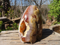 Polished Large Carnelian Agate Display Piece  x 1 From Madagascar