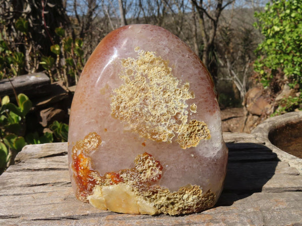 Polished Large Carnelian Agate Display Piece  x 1 From Madagascar