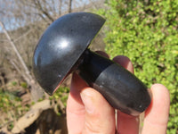 Polished Large Black Basalt Mushrooms x 6 From Madagascar