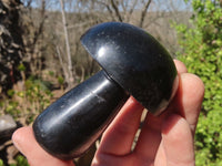 Polished Large Black Basalt Mushrooms x 6 From Madagascar